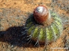 curacao-shete-boka-2