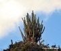 curacao-shete-boka-6