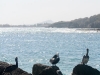 jan-thiel-beach-curacao-01