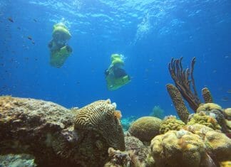 Aquafari Curacao, wat is het?