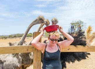 Ostrich farm Curacao