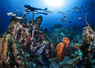 10 Leuke activiteiten op Curaçao
