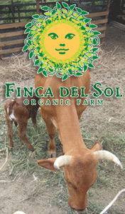 Finca Del Sol, organische en ecologische boerderij op Curaçao.