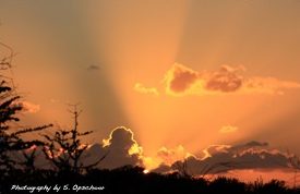 natuurcuracao5