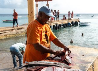 Visite en vis blijven 3 dagen fris op Curaçao.
